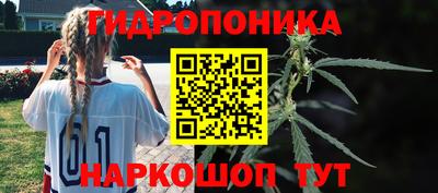 прущие крисы Краснознаменск