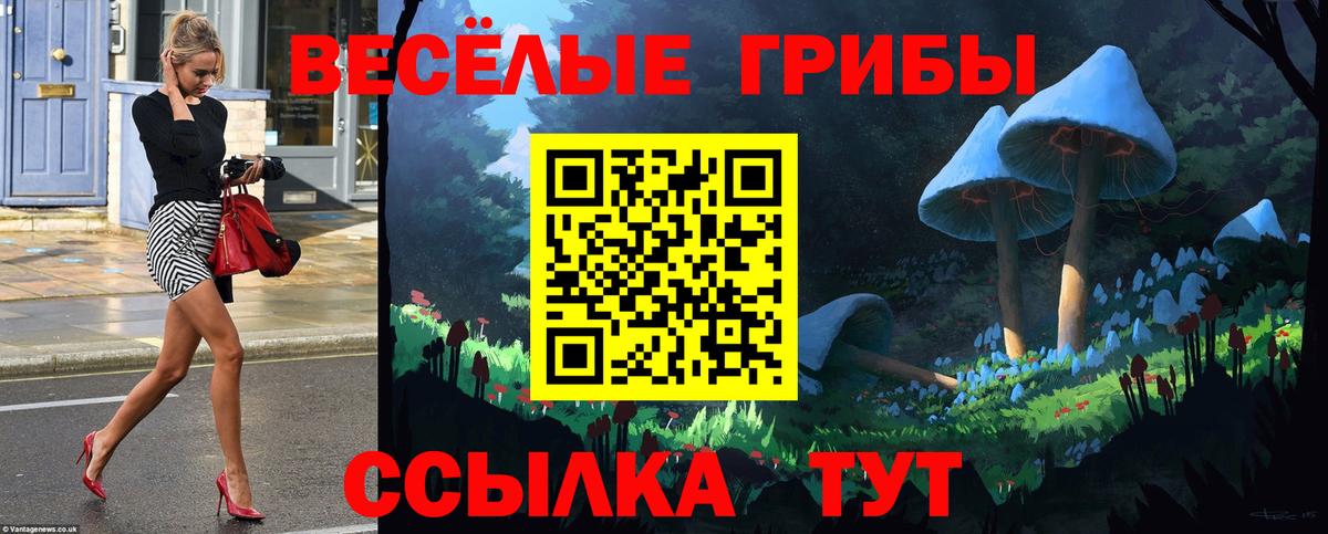 Галлюциногенные грибы GOLDEN TEACHER  наркота  Галлюциногенные грибы GOLDEN TEACHER  Зерноград  Вход с VPN 